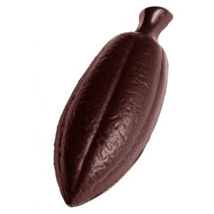 Chocolate Mould Cocoa Bean